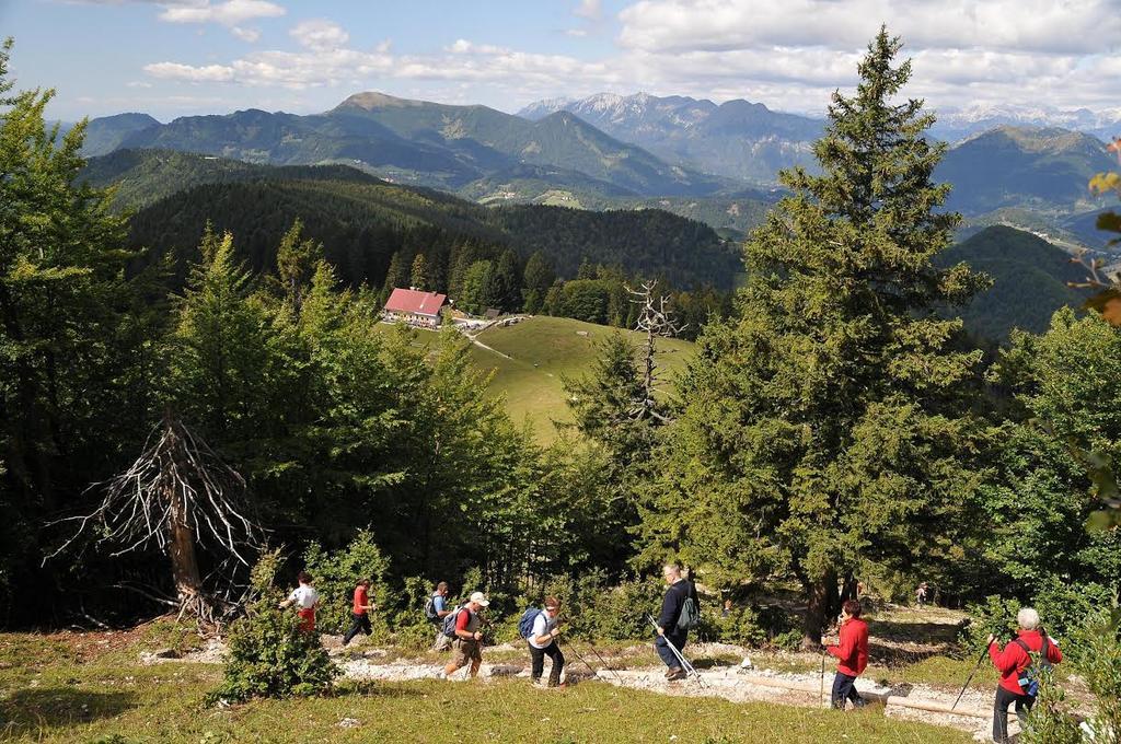 Apartmaji Srnca Cerkno Eksteriør billede